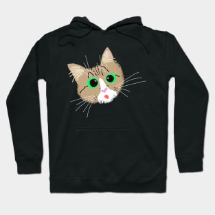 Maine Coon Cat Tongue Out Tuesday Cute Hoodie